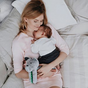 Whisbear Ourson apaisant