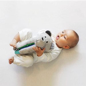 Whisbear Ourson apaisant
