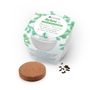 Coffret cadeau arbre de naissance