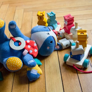 Peluche d'activités Gaston raton laveur