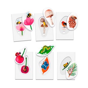 Flash cards nature Montessori