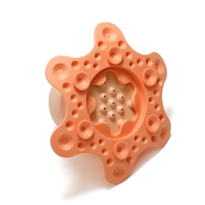 Jeu de bain éco-responsable poulpe