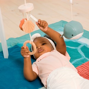 Arche d'éveil animaux marins