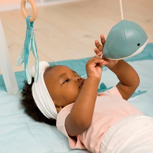 Arche d'éveil animaux marins