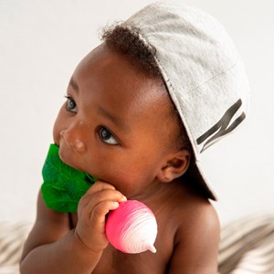 Jeu de dentition radis