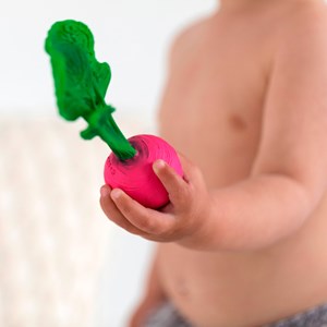 Jeu de dentition radis