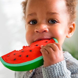 Jeu de dentition pastèque