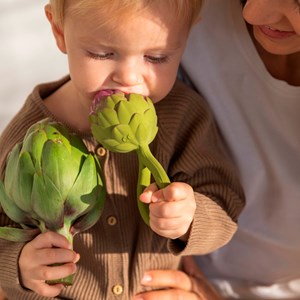 Hochet légume Artichaut
