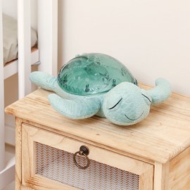 Veilleuse tortue aquatique rechargeable