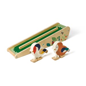 Course oiseaux de la forêt