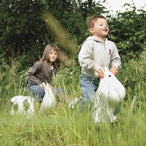 Ballon sauteur vache Rosalie