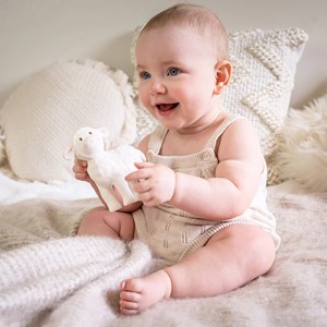 Hochet et jeu de dentition agneau