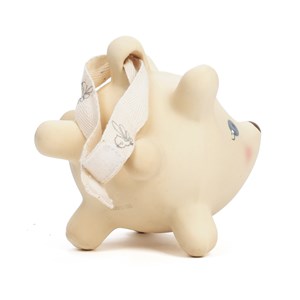 Balle d'éveil hérisson