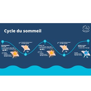 Veilleuse peluche raie musicale et lumineuse Dodo Dreamer