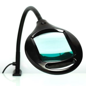 Loupe lumineuse grand champ