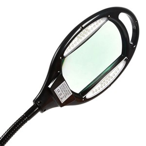 Loupe lumineuse grand champ