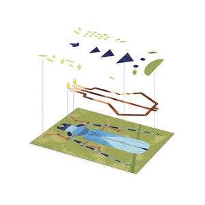 Insectarium