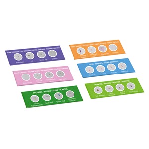 Kit d'expérimentation lames préparées