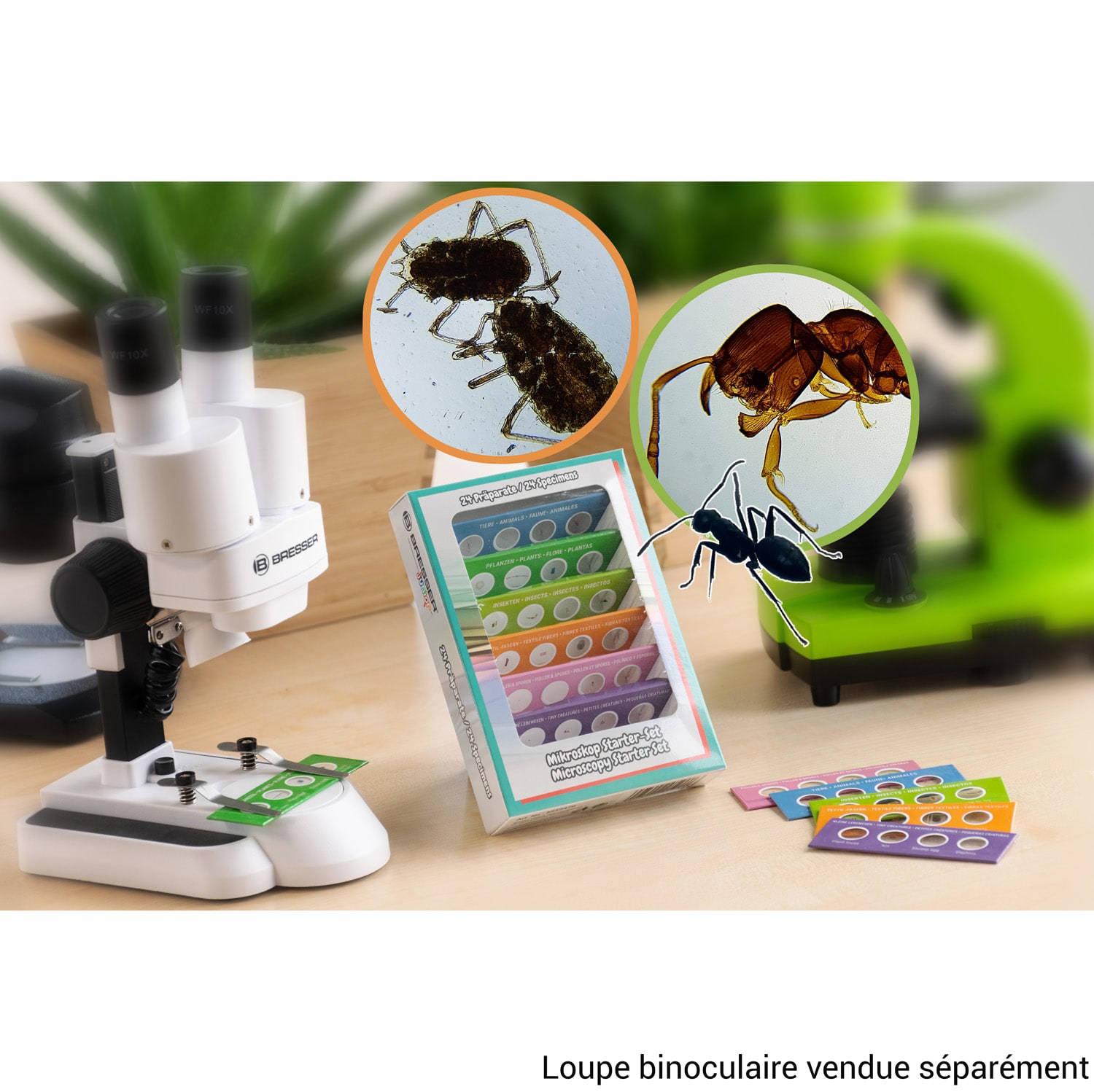 48Pcs Lames de Microscope Préparées En Plastique D'Enfants D'Animaux Insect  A4J5