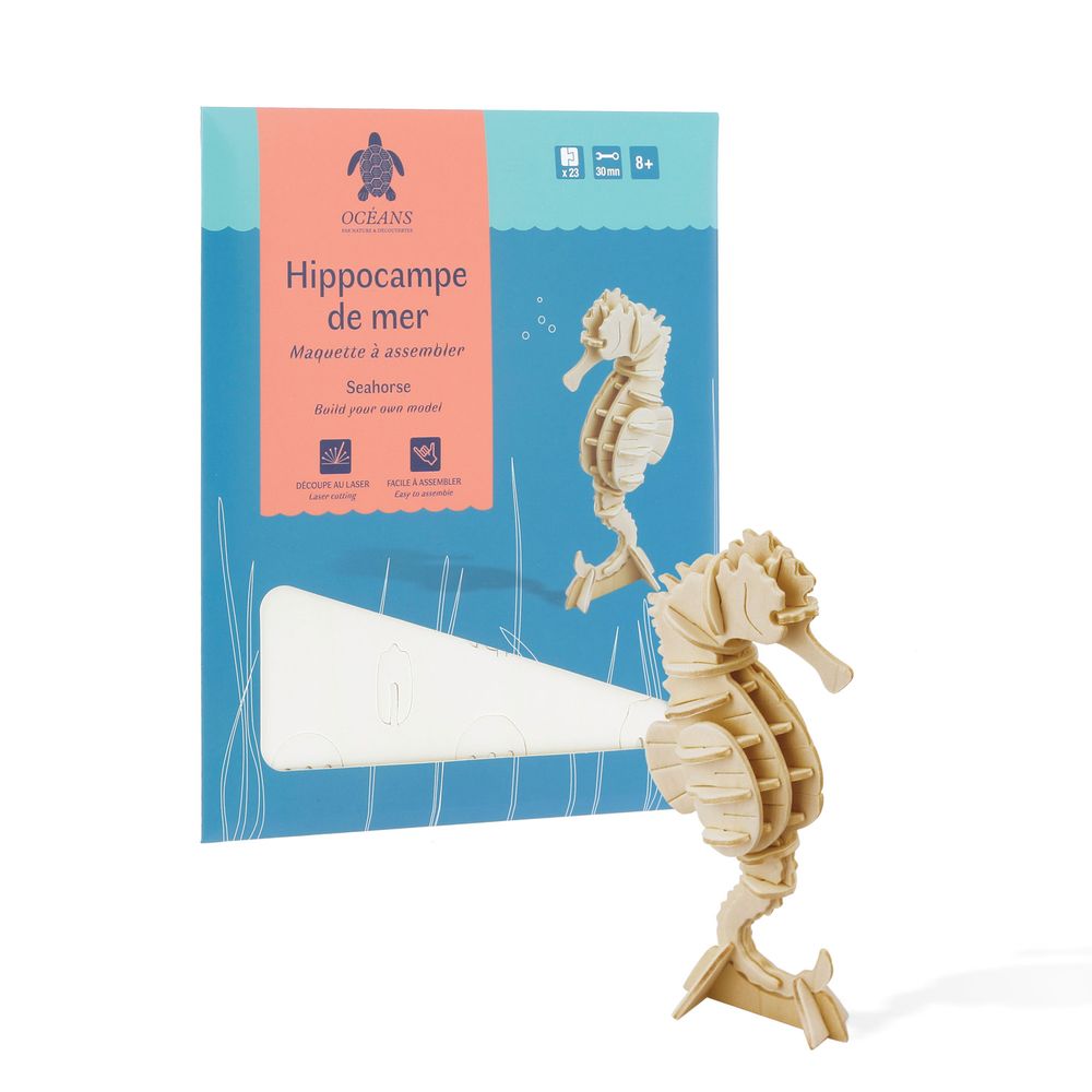 Maquette Hippocampe Nature Decouvertes