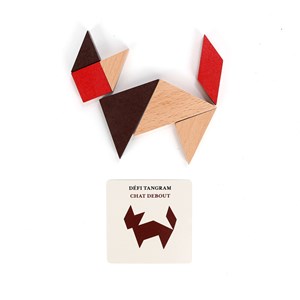 Valisette de casse-tête