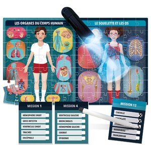 Le corps humain aux rayons X