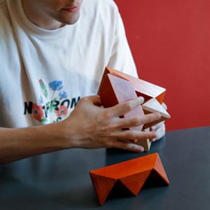 Grand casse-tête en bois étoile