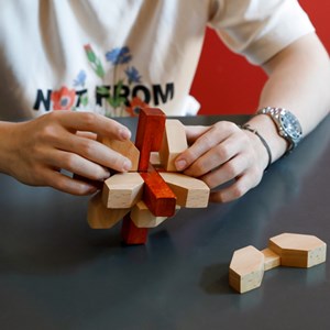 Grand casse-tête en bois fleur