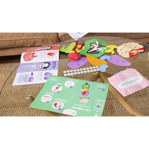 Kit Pandacraft Les Organes