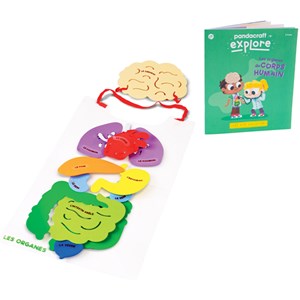 Kit Pandacraft Les Organes