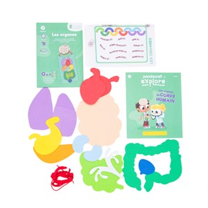 Kit Pandacraft Les Organes