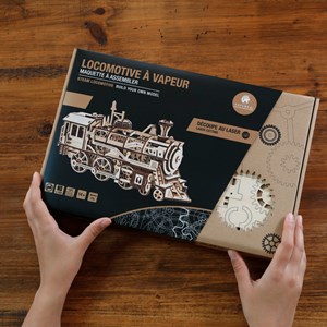 Maquette locomotive à vapeur en bois