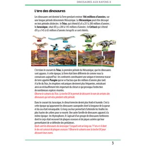 Jeu dinosaures aux rayons X