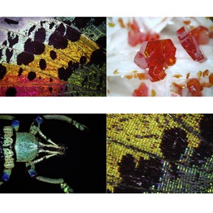 Microscope numérique Bresser