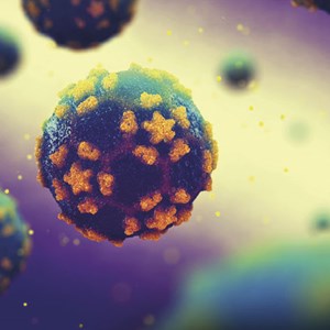 Coffret découvertes du corps humain