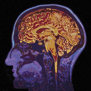 Coffret découvertes du corps humain