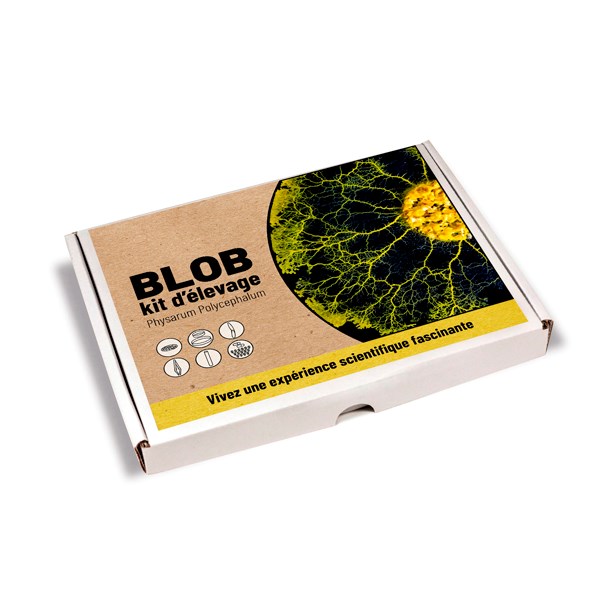 Nature & Découvertes - Coffret élevage de blob