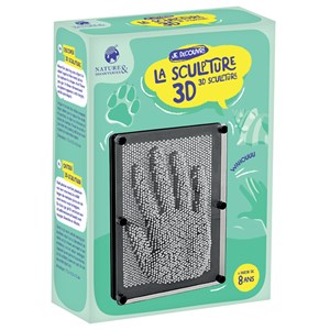 Sculpture 3D Pin Art