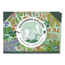 Coffret coloriage oiseaux