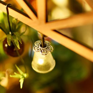 Maquette serre botanique