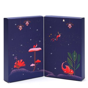 Calendrier de l'Avent 24 minéraux à collectionner