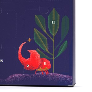 Calendrier de l'Avent 24 minéraux à collectionner