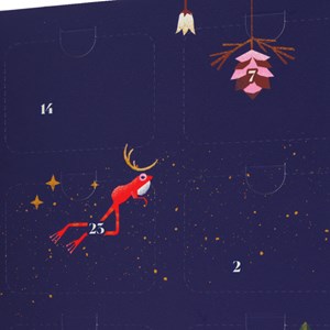 Calendrier de l'Avent 24 minéraux à collectionner