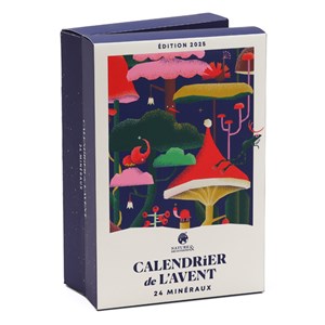 Calendrier de l'Avent 24 minéraux à collectionner
