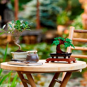 LEGO® Botanicals Bonsaï 10281