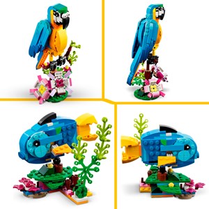LEGO® Creator Le perroquet 31136