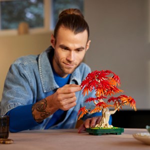 LEGO® Botanicals Erable du Japon 10344