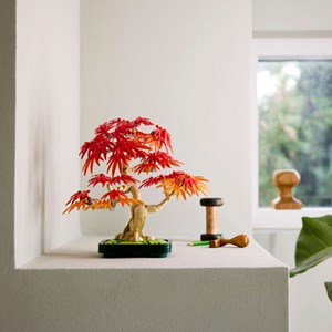 LEGO® Botanicals Erable du Japon 10344