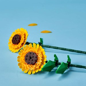 LEGO® Botanicals Tournesols 40524