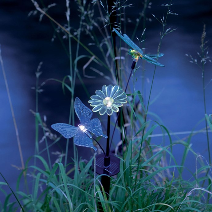 lampe solaire jardin nature et decouverte